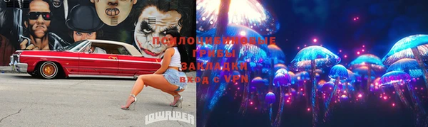 хмурый Алексеевка