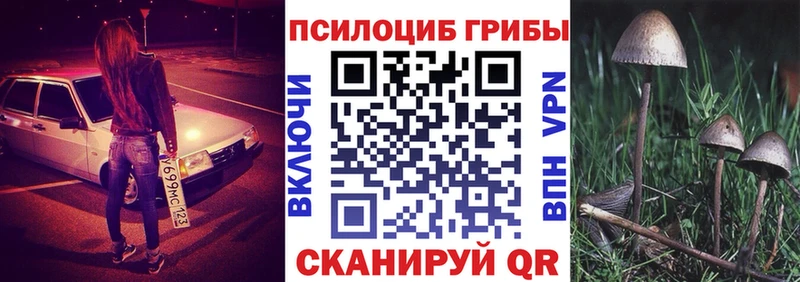 Псилоцибиновые грибы мицелий  Бердск 