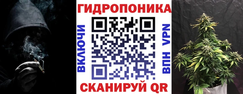 Конопля SATIVA & INDICA  Бердск 